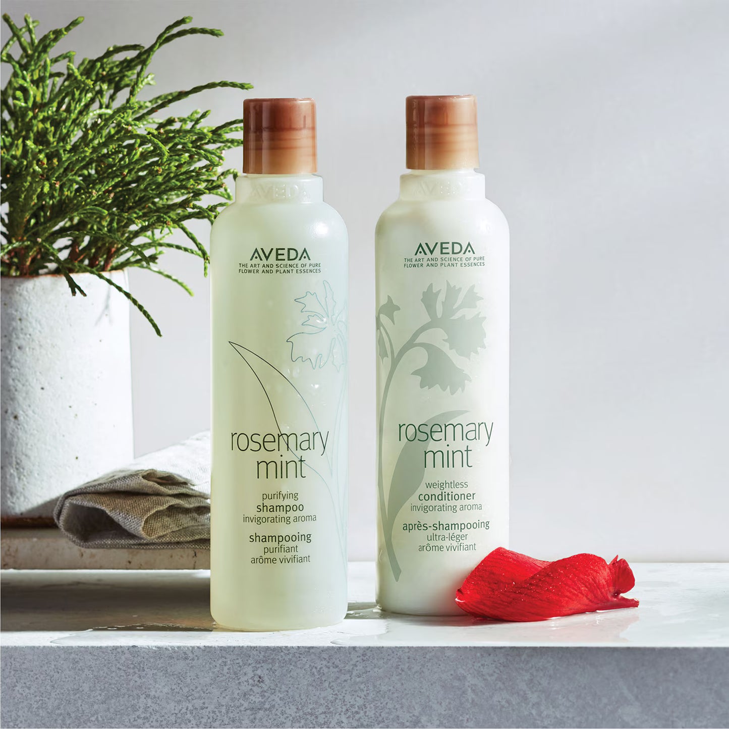 AVEDA rosemary mint- Conditioner