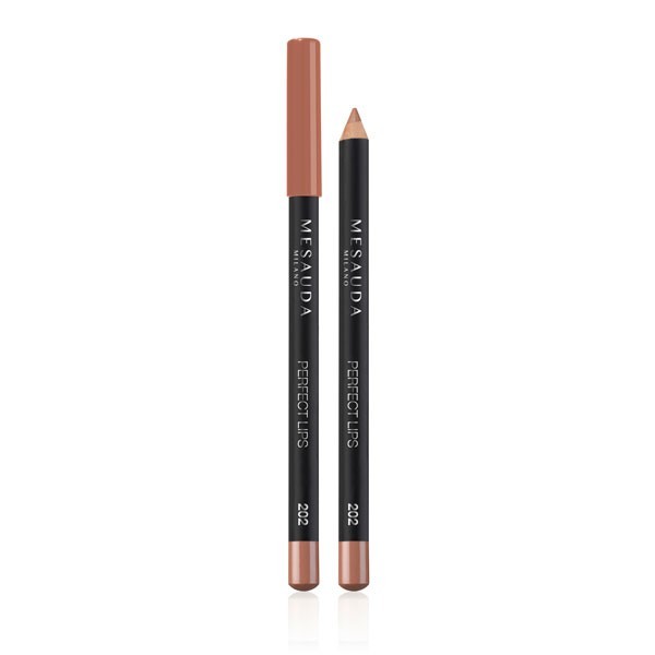 MESAUDA PERFECT LIPS - 202 MOU