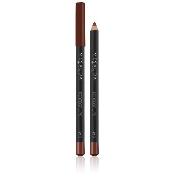 MESAUDA PERFECT LIPS - 210 SMACK