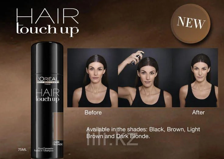 L'Oreal Hair Touch Up Brown