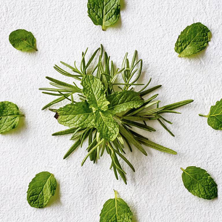 AVEDA rosemary mint- Conditioner