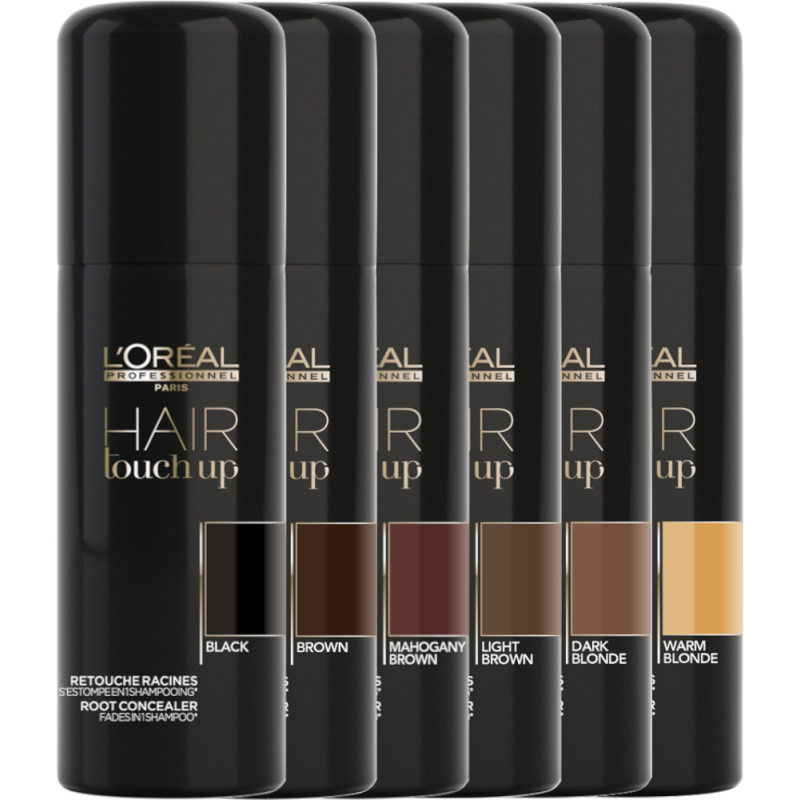 L'Oreal Hair Touch Up Brown